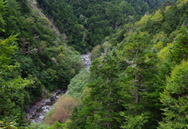 野呂川本流