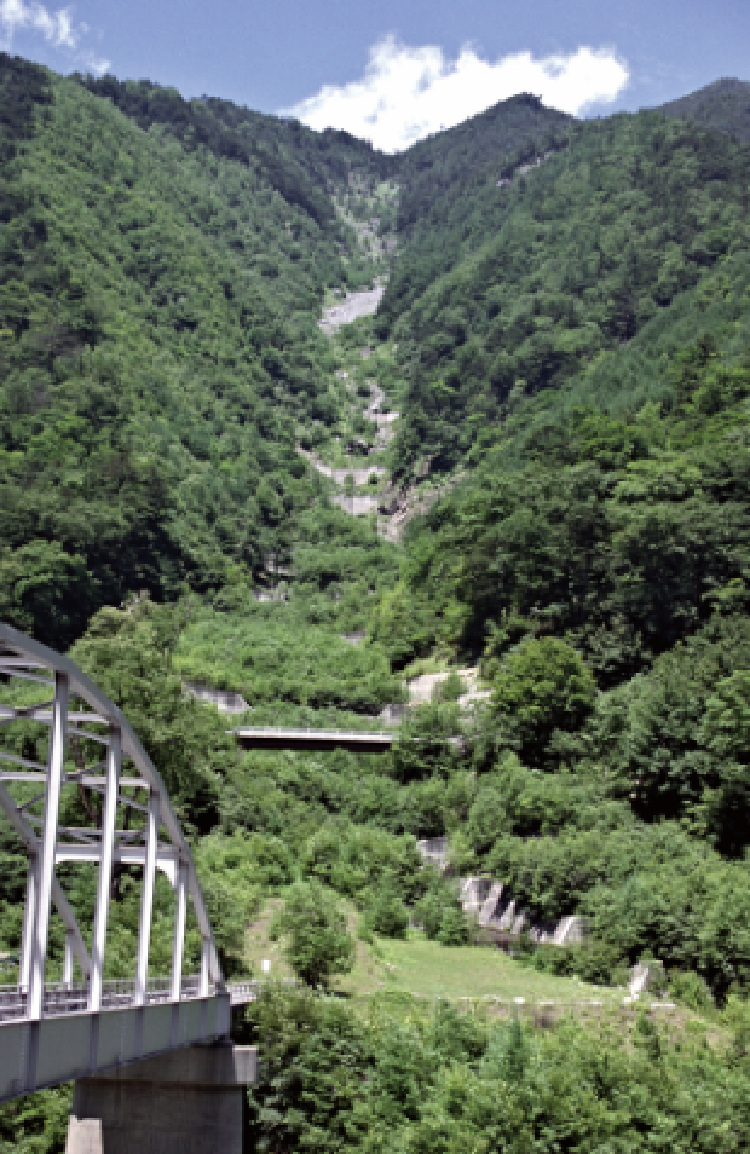 緑化された状況（平成24年頃）