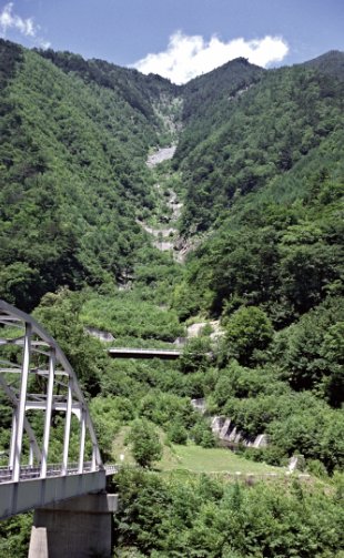 緑化された状況（平成24年頃）